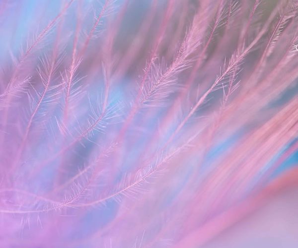 Abstract image representing air flow and light.